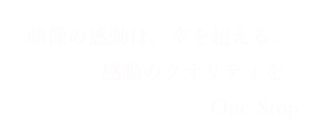 Dragon King inc.